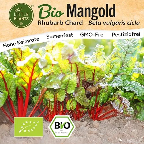 Little Plants BIO Mangold Samen 50 Mangoldsamen Rhubarb Chard Gemüsesamen für Gemüsegarten Samenfest Gemüse Samen Salatsamen für Küche, Balkon und Garten
