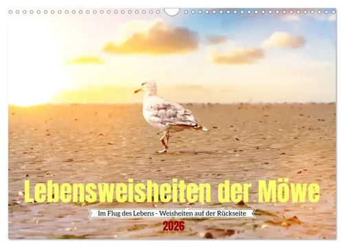 Www. Bihlmayer-Media. Com Www. Bihlmayer-Media. Com | Lebensweisheiten der...