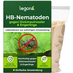 Legona HB-Nematoden gegen Dickmaulrüssler - 100m², biologisch & hochwirksam - Nützliche Insekten zur Schädlingsbekämpfung, bekämpfen Sie Dickmaulrüssler und Engerlinge nachhaltig mit 100% natürlichen Nematoden, die harmlos für Mensch und Tier sind.