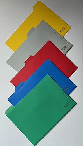 100x Rexel Carry Box Aktenhüllen mit Register-Taben in 5 Farben, DIN A4, Sichthüllen