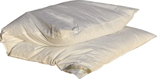 Betten Hofmann Daunenbettdecke 155x200cm - Allergiker Bettdecken, ideale Winterdecke mit 2000g Füllung aus 60% Daunen und 40% Federn für kuschelige Wärme ohne Lebendrupf.