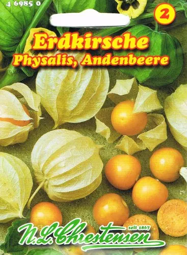 Physalis (Andenbeere) Saatgut – aromatische Fruchtpflanze für Garten und Balkon - Beliebtes Saatgut von N.L. Chrestensen, ideal für die Anzucht von ca. 50 Pflanzen. Genießen Sie die köstlichen, essbaren Beeren direkt aus Ihrem Garten!