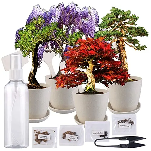 Royal Gardineer Bonsai Set: Bonsai-Anzuchtset, 4 Arten, Töpfe, Untersetzer, Clipper, Sprühflasche (Pflanzenzucht, Anzucht, Topf)
