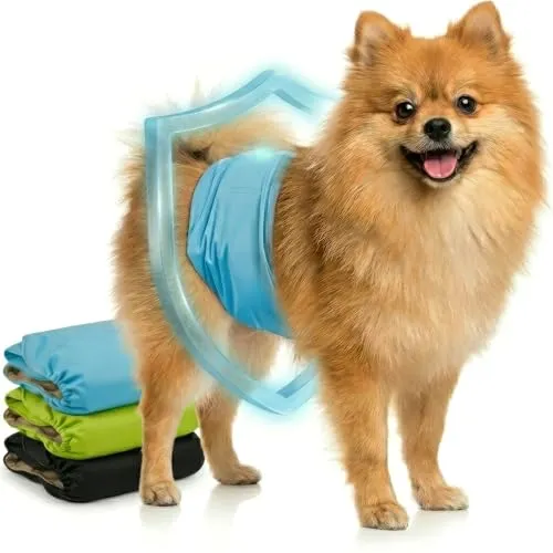 HUND IST KÖNIG Hundewindeln für Rüden - 3 STK Saugstark - Hundewindeln für Rüden, ideal bei Inkontinenz. Waschbar, umweltfreundlich und mit einem weichen, atmungsaktiven Innenfutter für optimalen Schutz.