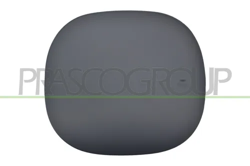 PRASCO Tankklappe FT0603501 für FIAT 500X - Hochwertige Tankklappe von PRASCO für den FIAT 500X, perfekt passend und grundiert für eine einfache Montage. Ideal für eine störungsfreie Kraftstoffzufuhr.