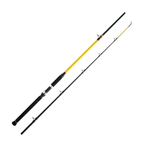 WFT Never Crack Catfish Boat 250-1000g 2,10m - Angelruten mit extrem belastbarem WFT Never Crack Blank, ideal für Wels- und Meeresangeln. Perfekte Leistung und Haltbarkeit für passionierte Angler.
