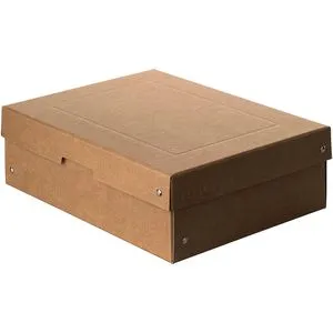 Falken Aufbewahrungsbox Pure Box Nature, 7 Liter, mit Deckel, Pappe, braun, A4, 24 x 32 x 10cm
