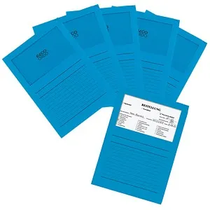 ELCO Sichthüllen DIN A4 glatt 120 g/qm - 100 Stück Packung - Hochwertige Sichthüllen für DIN A4 Unterlagen, 120 g/qm, ideal für professionelle Präsentationen und Dokumentenorganisation.