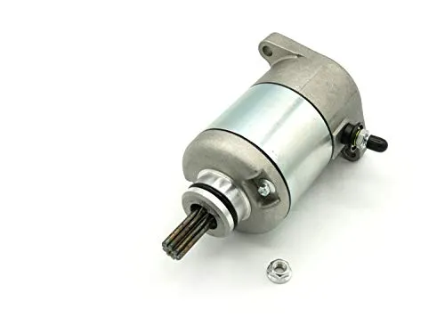 Anlasser Starter Anlassermotor für FES, NES, SES, SH 125 Roller