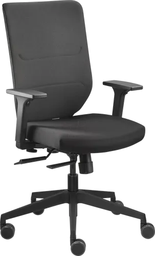Frarlsh Ergonomischer Bürostuhl mit Lendenwirbelstütze - Bürostuhl mit Lendenwirbelstütze für optimalen Komfort, Kopfstütze und 360 Grad Drehung, ideal für langes Sitzen im Home Office oder Büro.