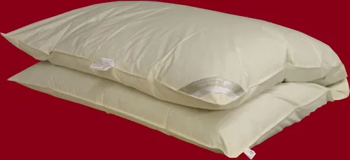 Betten Hofmann Federbettdecke Sibiria 155x220 cm - Allergiker Bettdecken, gefüllt mit 100% sibirischen Wildgänsefedern für optimale Wärme und Komfort, ideal zum Einkuscheln und Entspannen.