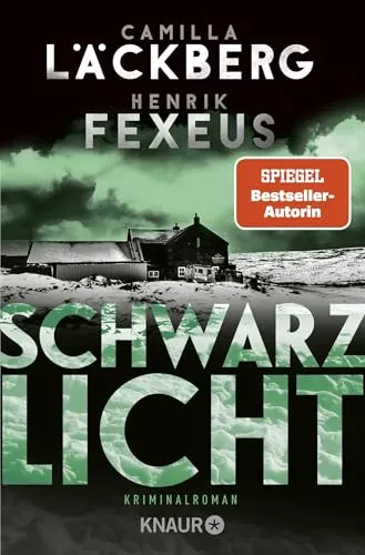 Schwarzlicht: Kriminalroman | Der Bestseller aus Schweden jetzt im Taschenbuch (Die Dabiri-Walder-Trilogie, Band 1)