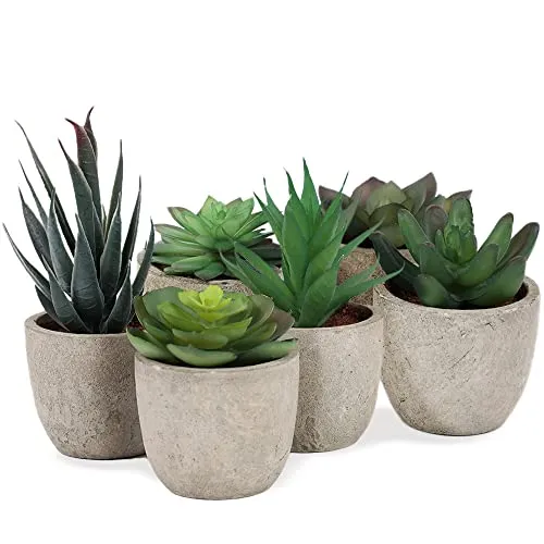 addhome Kunstpflanzen Set | 6 naturgetreue Sukkulenten in fest verklebten Übertöpfen | Pflegeleicht und zeitlos | ideal für Wohnzimmer, Büro etc. | Zuhause verschönern