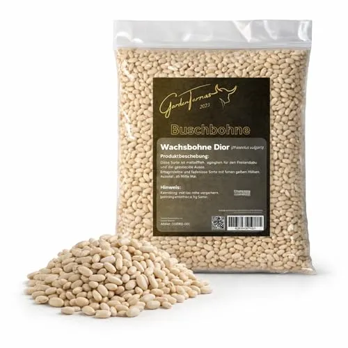 Gelbe Buschbohne (Wachs), fadenlose, Inhalt 500g, Gemüsesamen für eine resistente Bohne mit bis zu 14 cm langen Hülsen (500g)