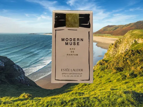 Esteé Lauder Modern Muse Eau De Parfum 30 ml für Frauen - Eleganter Damenduft mit floralen und holzigen Noten, ideal für jeden Anlass und verleiht Selbstbewusstsein.