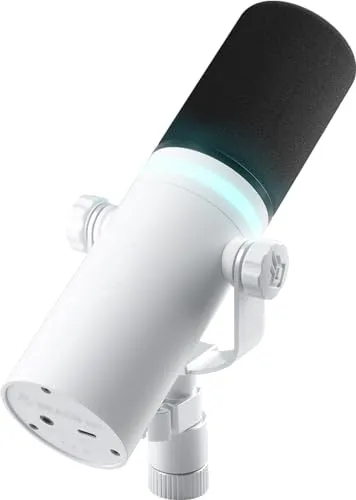 BEACN Light Dynamic USB-Mikrofon für PC | Professionelles Mikrofon für Podcast, Gaming, Streaming | Studioqualität Schreibtischmikrofon für YouTube, Twitch und Aufnahmen