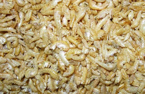 Bachflohkrebse Gammerus 250ml, Fischfutter