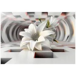 Wallarena Fototapete Grau, 250x175 cm – Elegante Vliestapete für jeden Raum - Stilvolle Vliestapete in Grau mit 3D-Effekt, ideal für Wohnzimmer, Schlafzimmer oder Büro. Einfache Montage und hohe Farbbrillanz sorgen für ein beeindruckendes Ambiente in Ihrem Zuhause.