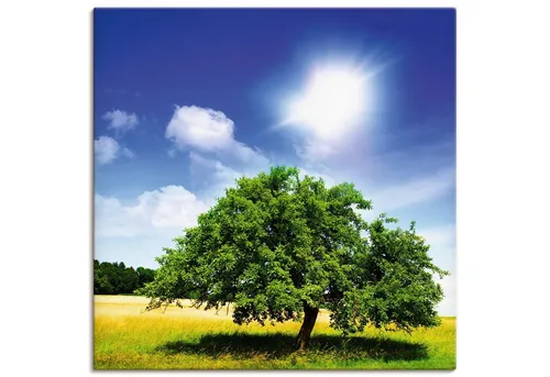 Wandbild "Baum des Lebens", Bäume, (1 St.), als Leinwandbild, Poster in verschied. Größen Farbe Bild(er): grün B/H/T: 100 cm x 100 cm x 1,8 cm