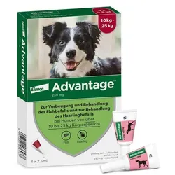 Advantage 250 für Hunde - Effektive Flohbehandlung - Tiergesundheit: Advantage 250 tötet Flöhe schnell ab und schützt bis zu 4 Wochen vor erneutem Befall. Ideal für Hunde ab 8 Wochen, einfach in der Anwendung.