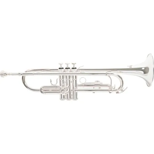 Roy Benson TR-202S Bb-Trompete versilbert | Neu