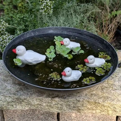 Storm's Gartenzaubereien Keramik Entenfamilie - Schwimmdeko für Teich - Garten - Elegante Dekoration weiß - für Miniteiche - Balkonteiche - 35cm graue Kunststoffschale