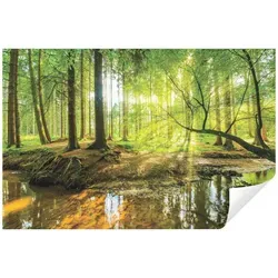 Wallarena Fototapete Wald Grün Natur 3D EFFEKT Landschaft Wohnzimmer Schlafzimmer Küche, Glatt, Wald, (Vliestapete, Vlies Fototapete), Fototapete XXL Wald grün Wohnzimmer Schlafzimmer Tapete + Kleister grün 5.20 m x 3.18 m