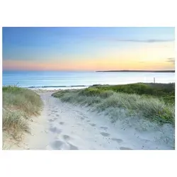 Fototapete Strand Meer Nordsee Dünen Natur 250x175 cm - inkl. Kleister - für Wohnzimmer Schlafzimmer Flur Modern Vlies Tapete Vliestapete Wandtapete Motivtapeten