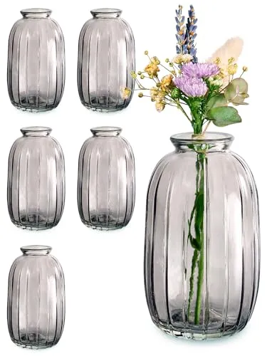 Praknu 6 Mini Glasvasen 11,8 cm Hoch - Traumhafte Deko für Hochzeit - Spülmaschinenfest - Vintage Blumenvasen - Grau