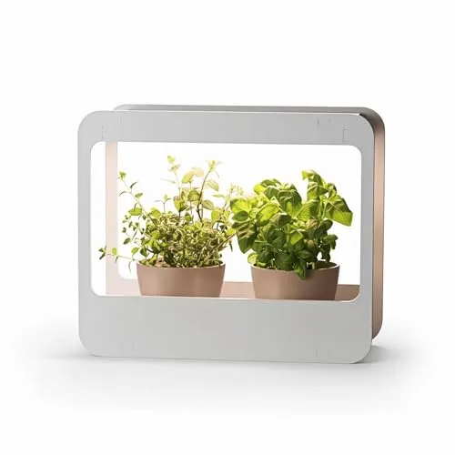 Romberg Home Garden Mini Gewächshaus mit LED Pflanzenlampe - Zimmergewächshaus mit integrierter Zeitschaltuhr und Vollspektrum-LED für ganzjährige Kräuterernte. Ideal für frische, gesunde Kräuter direkt aus der eigenen Küche.