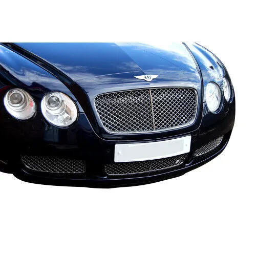 Bentley Continental GT – unterer Grill, Grillsatz, silbern (2003 bis 2007)