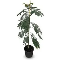 Sunny-Tree Seidenbaum Albizia Julibrissin Ombrella 150 cm – Exotischer Zierbaum mit Zartrosa Blüten - Wunderschöner Seidenbaum (Albizia julibrissin 'Ombrella') mit schirmförmiger Krone, ideal für Gärten und Terrassen. Pflegeleicht und winterhart bis -14°C, bringt er mediterranes Flair in Ihr Zuhause.