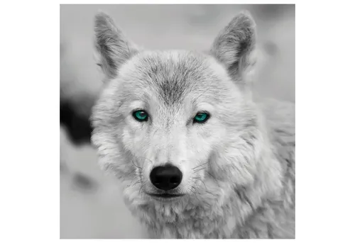 Bild Keilrahmenbild RIVO, Schwarz, Weiß, B 35 cm