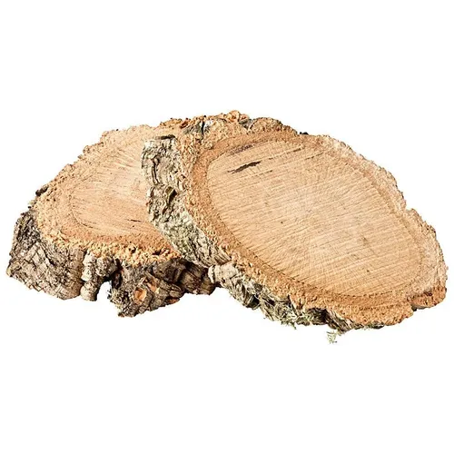 Baumscheiben | Natur-Kork der Kork-Eiche | Kork-Baum | Kork-Rinde | 2 Stk. 2
