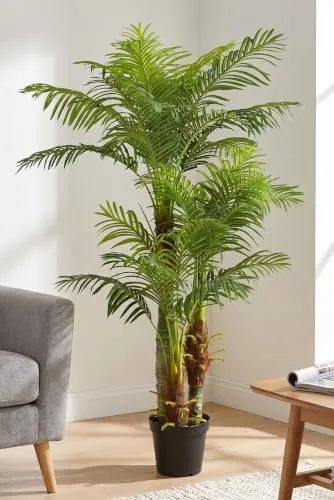 Arnusa Kunstpalme KP103 - Große Palme mit 3 Stämmen, 180 cm hoch - Kunstpalme für Indoor und Outdoor, beeindruckende Höhe von 180 cm, pflegeleicht und immergrün für ein ansprechendes Ambiente.