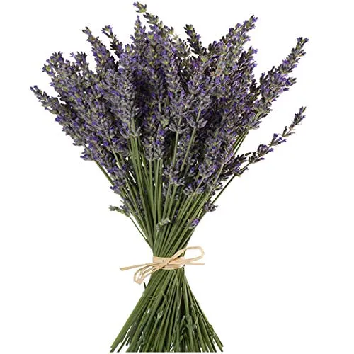 TooGet Natürliche Lavendel Bündel, Frisch Geerntete 400 Stämme Getrockneter Lavendel Bouquets 40-45cm Lang, Dekorative Blumenstrauß Für Wohnkultur, Kunsthandwerk, Hochzeit Oder Jede Gelegenheit
