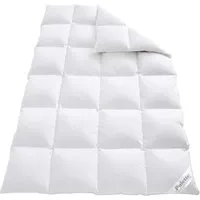 OBB Premium Daunen-Kassettenbettdecke Elegance 200 x 220 cm - Kuschelige Bettdecke für den Winter, gefüllt mit 90 % Daunen und 10 % Federn. Ideal für Hausstauballergiker dank Nomite- und Daunasan-Qualität.