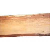 T&J BORNHOLM BONANZA Zaunbretter Lärche 2400 mm - Gartenzäune aus hochwertiger Lärche, ideal für einen langlebigen und stilvollen Vorgartenzaun.