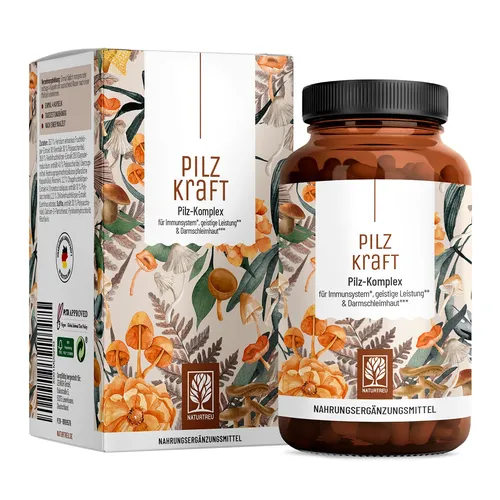 Pilzkraft: Pilz-Komplex für Immunsystem, geistige Leistung & Darmschleimhaut - 120 Kapseln - Arzneimittel zur Unterstützung von Immunsystem, geistiger Leistung und Darmschleimhaut. Rezeptfrei erhältlich - ideal für ganzheitliche Gesundheit.