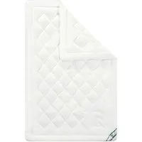 f.a.n. frankenstolz Bettdecke, Baumwolle, Natur, 135 cm x 200 cm - Bettdecken aus 100% Baumwolle, ideal für Allergiker. Hautsympathisch und temperaturausgleichend für ein trockenes Schlafklima. Waschbar bis 60°C und trocknergeeignet.