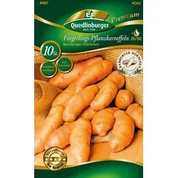 Pflanzkartoffel Bamberger Hörnchen (10 Stück) | Festkochende Spezialität aus Bamberg - Die Pflanzkartoffel Bamberger Hörnchen überzeugt durch schmackhafte, fingerdicke Knollen mit gelb-rosa Schale. Ideal für Brat- und Pellkartoffeln. Reichhaltige Ernte von Juni bis September.