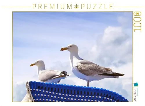 CALVENDO Puzzle Möwen auf einem Strandkorb an der Ostsee | 1000 Teile Lege-Größe 64 x 48 cm Foto-Puzzle für glückliche Stunden