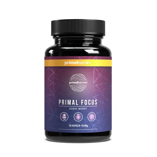 Primal Focus Kogni Boost von Primal Harvest® - Nahrungsergänzungsmittel für das Gehirn mit hochwertigem Cognizin® und L-Tyrosin für anhaltende Leistungsfähigkeit und Konzentration.