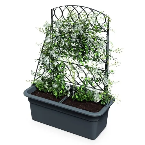 Kunststoff Blumenkasten anthrazit mit Rankgitter - 80 x 59 cm - Garten-Zubehör mit integrierter Rankhilfe für Tomaten und Gurken, robust und ideal für Kletterpflanzen, abgerundete Form und abnehmbares Spalier.