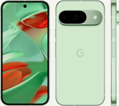 Google Pixel 9 256GB Wintergreen - 6,3 Zoll OLED Display, 50 MP Kamera und 5G für beeindruckende Fotos und blitzschnelles Surfen