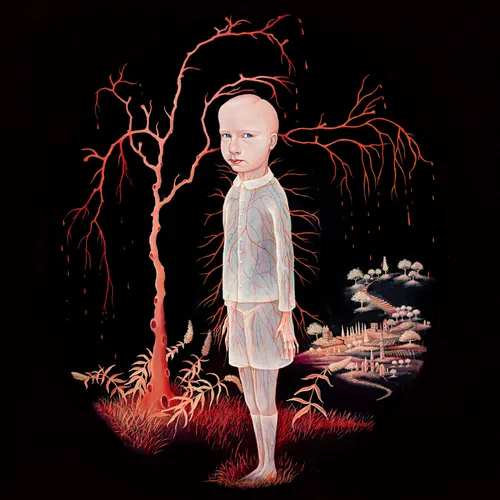 Constant Follower The Smile You Send Out Returns to You (Vinyl)