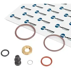 Dr.motor Automotive Reparatursatz, Pumpe-Düse-Einheit DRM006R