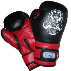 BAY-Sports Boxhandschuhe Discount Leon Kinderboxhandschuhe Kinder Boxen Kickboxen schwarz 6 Unzen