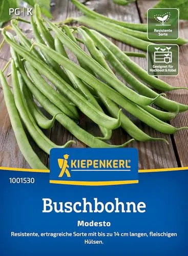 Kiepenkerl Buschbohnensamen Modesto 1001530 - Gemüsesamen für eine resistente Bohne mit bis 14 cm langen Hülsen und einem Inhalt für 8 bis 10 lfd. Meter - Pflanzen