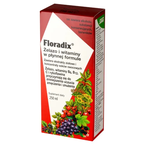 Kräuterblutsaft Florabio 250 ml - Nahrungsergänzungsmittel mit natürlichem Eisen und Vitaminen, unterstützt die Bildung roter Blutkörperchen und die Verdauung durch Kräuterextrakte.